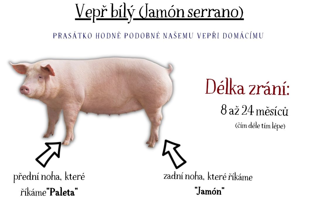 Jamon Iberico z černého iberského vepře